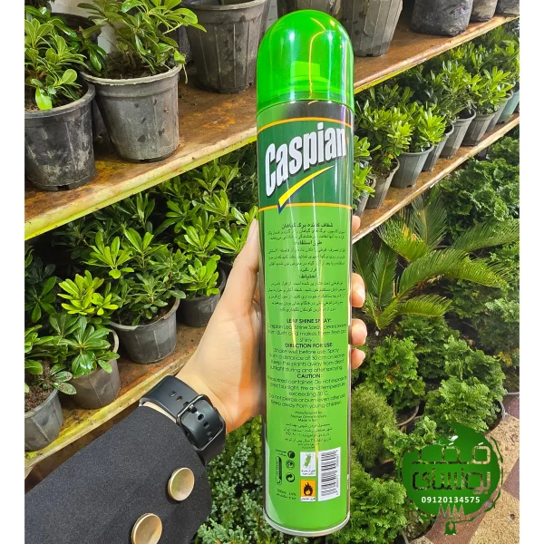 شفاف کننده برگ گیاهان