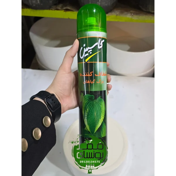 شفاف کننده برگ گیاه کاسپین